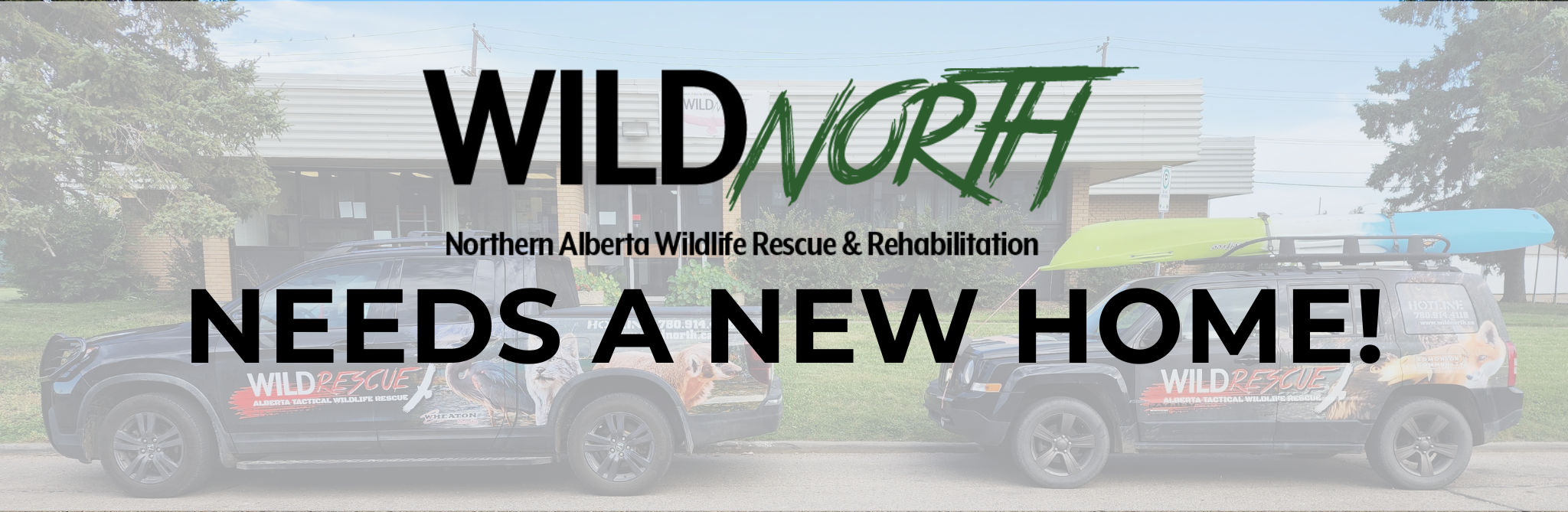 WILDNorth Needs a New Home!