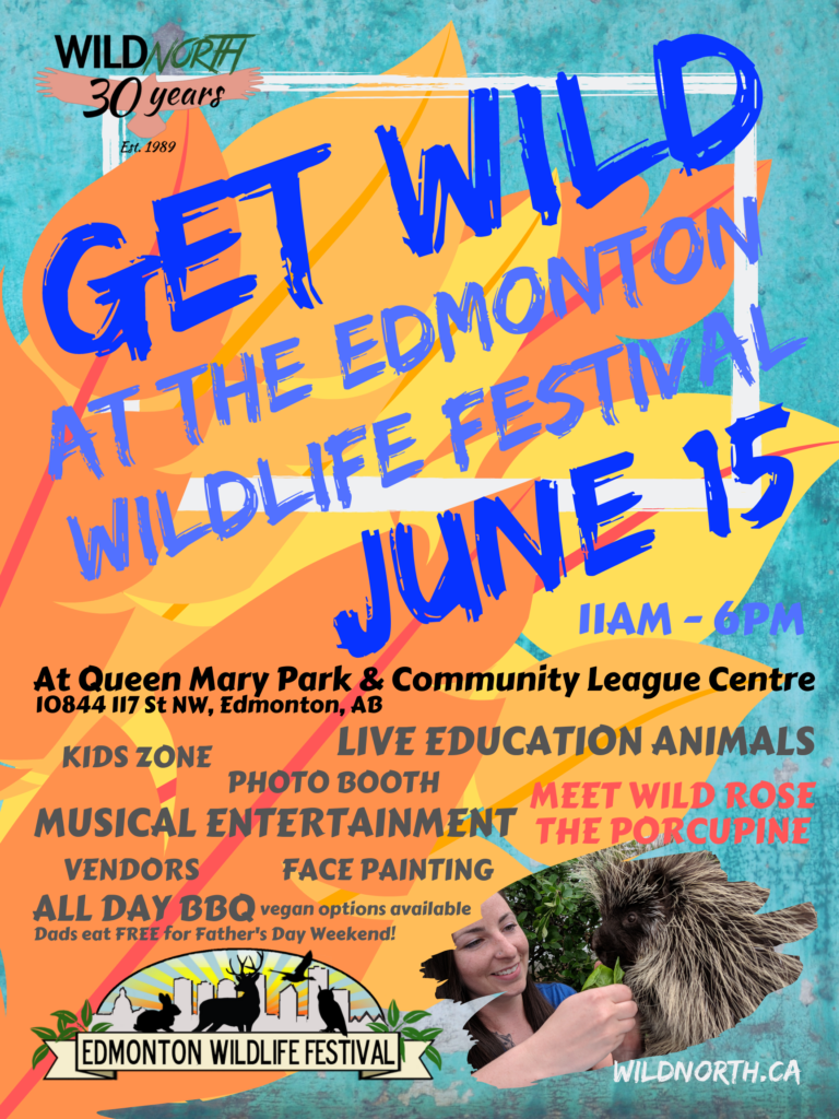 Edmonton Wildlife Festival Poster WILDNorthWILDNorth