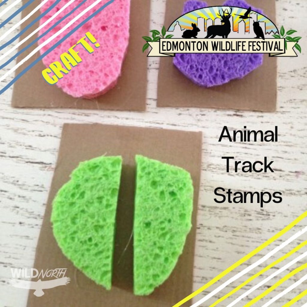 Animal Track Stamps 