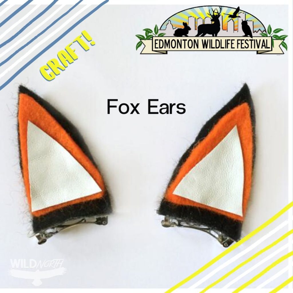 DIY Fox Ears