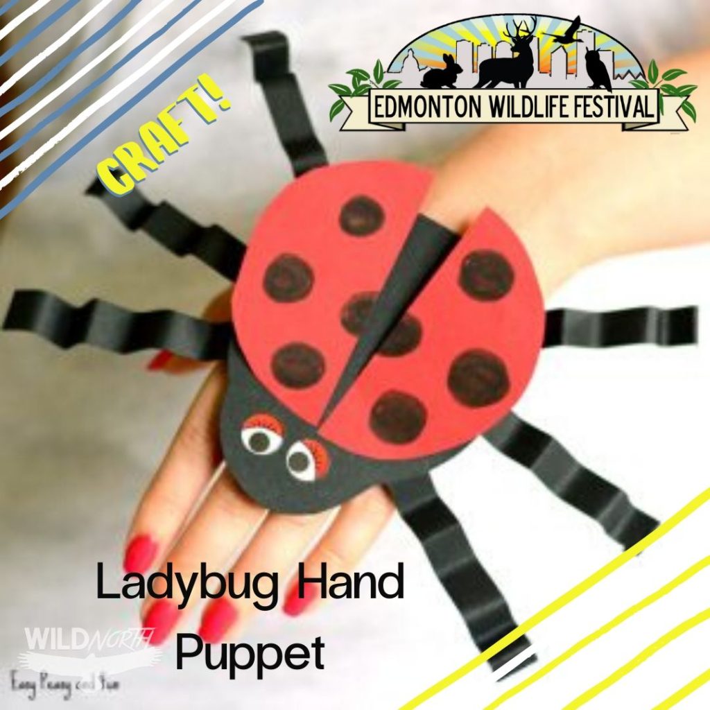 Lady Bug Hand Puppet