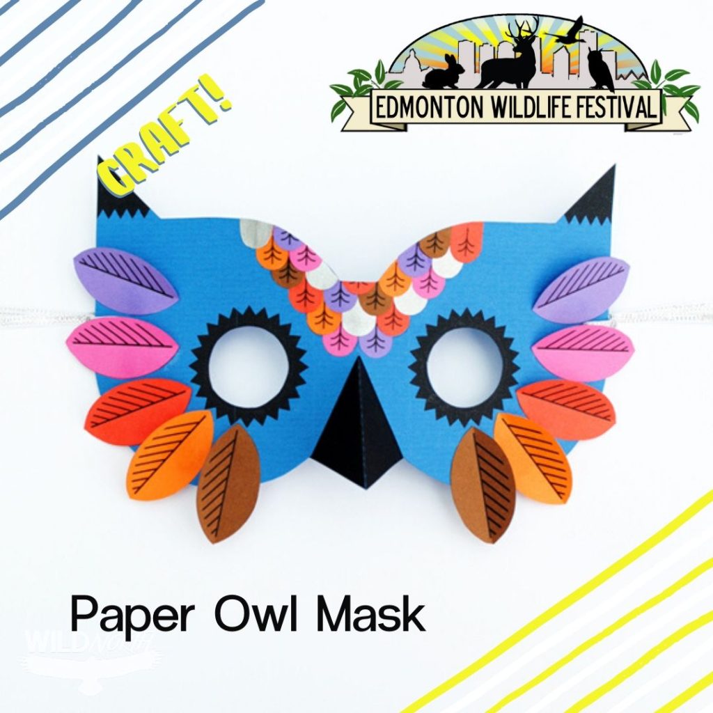 Paper Owl Mask