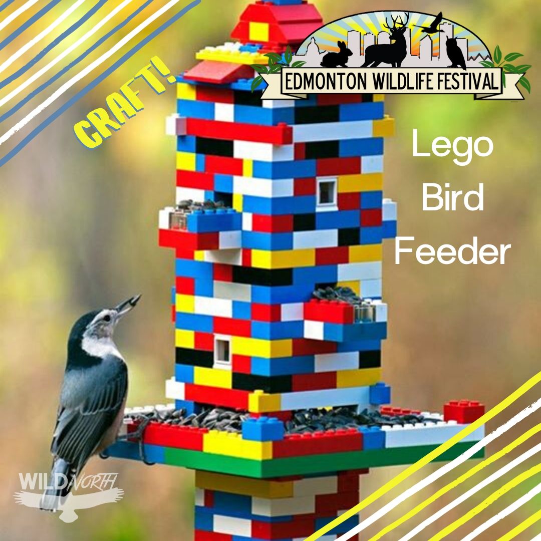 Lego Bird Feeder