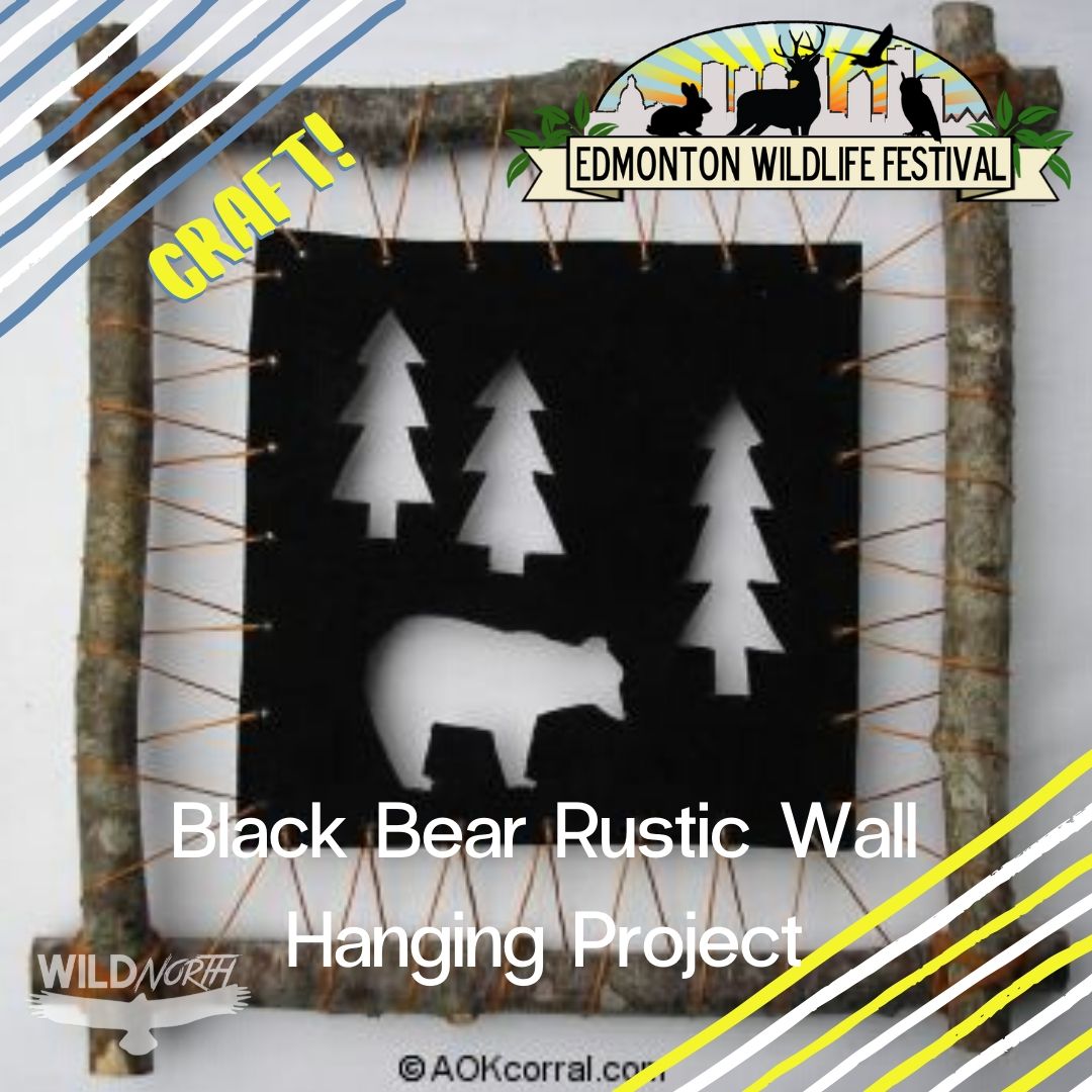 Black Bear Rustic Bear Hanging Project