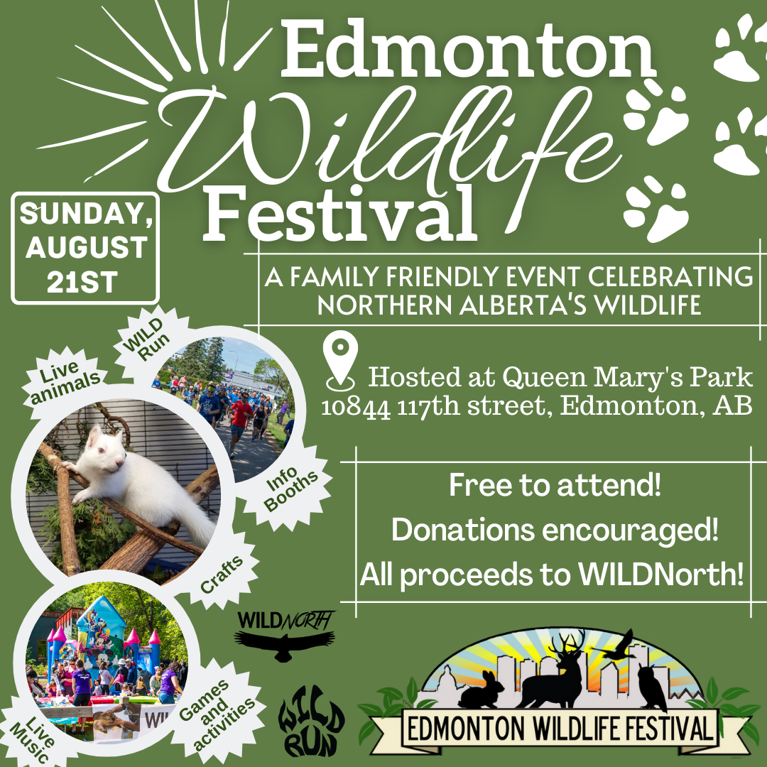 Edmonton Wildlife Festival - WILDNorthWILDNorth