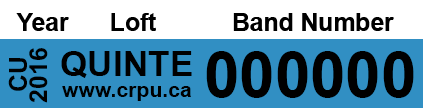 Example of a 2016 band from the Canadian Racing Pigeon Union’s Lost Bird Wizard